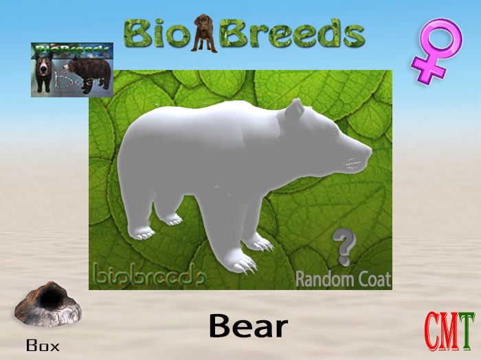 BioBreeds BB Bear Box Female