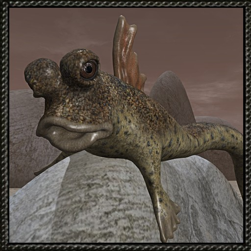 Cica's rockskipper fish 4 (box)