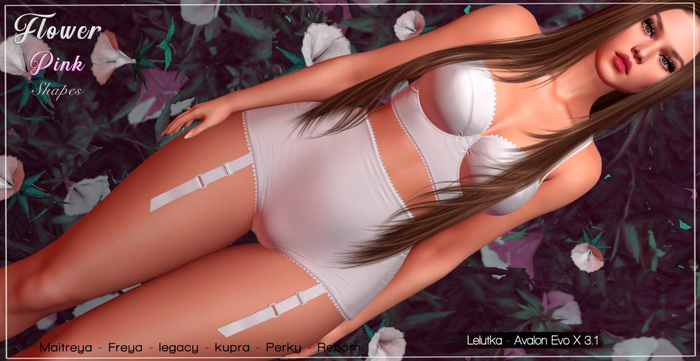 SHAPE - ALDAS - LELUTKA - EvoX AVALON