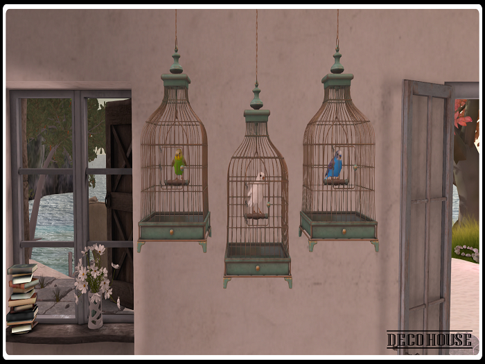 Animated Parrots And Canary In Cage Fatpack