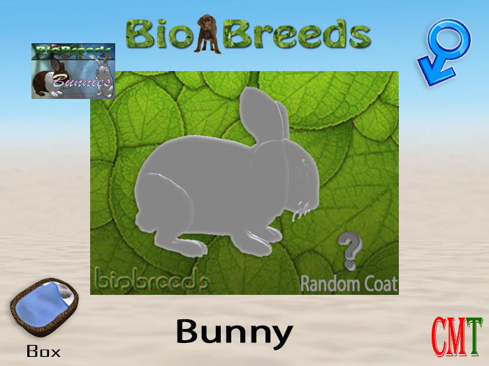 BioBreeds BB Bunny Box Male