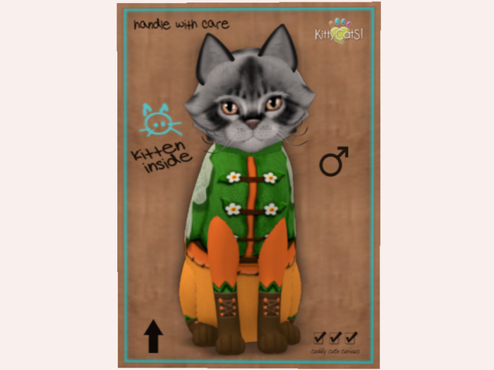 2022 HUBBA TUBBA fOreSt faiRieS! - Tangerine Dream - Boy 