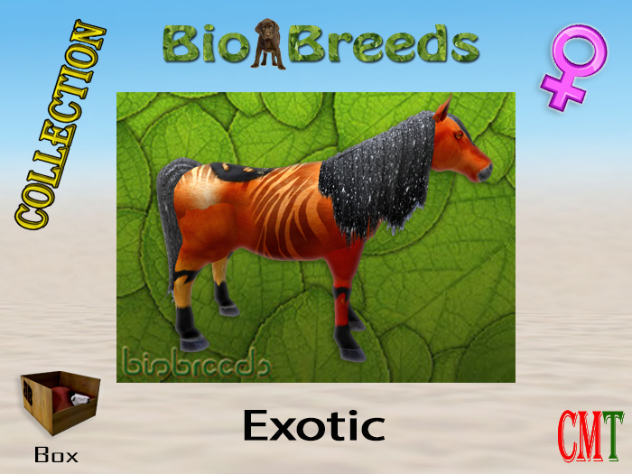 BioBreeds BB Halloween 2021 Epic Exotic Box Female