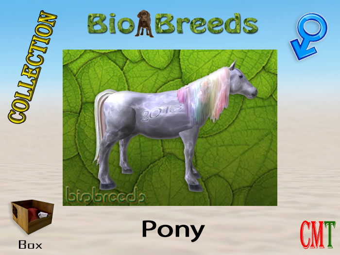 BioBreeds BB New Year 2013 Epic Pony Box Male