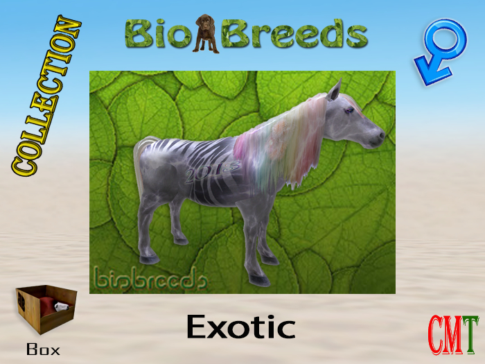 BioBreeds BB New Year 2013 Epic Zeony Exotic Box Male