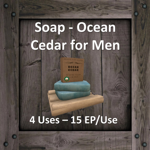 DFS Soap - Ocean Cedar for Men (DFS Texture Only)