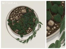 Mithral * Ring Wall Plant Display (White)