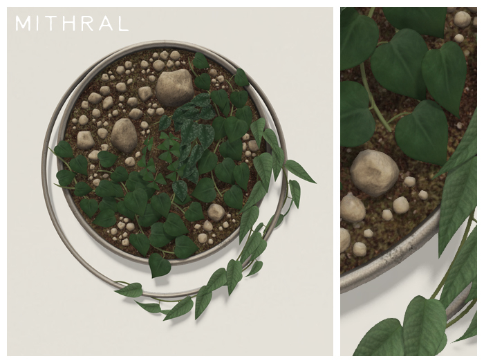 Mithral * Ring Wall Plant Display (Silver)