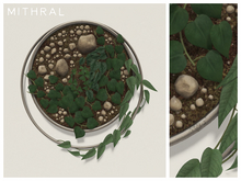 Mithral * Ring Wall Plant Display (Silver)