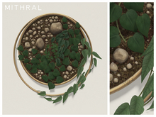 Mithral * Ring Wall Plant Display (Gold)