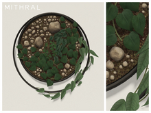 Mithral * Ring Wall Plant Display (Black)