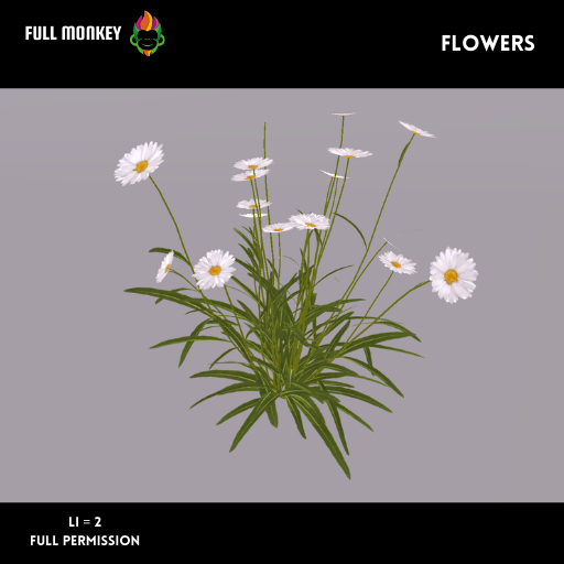 [FULL MONKEY ]Flowers FULL PERM
