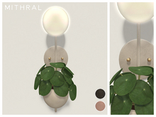 Mithral * Sconce Planter (Pilea)