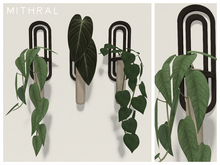 Mithral * Arched Wall Propagation Set (Black)