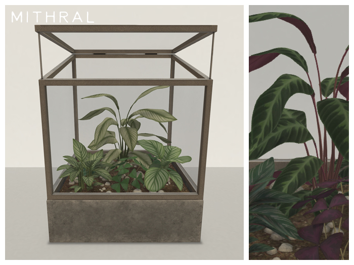 Mithral * Calathea Terrarium (Silver)