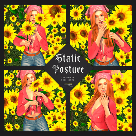 . Static Posture . BENTO POSE SUNFLOWER