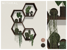 Mithral * Hexagon Plant Shelves V2 (Dark)
