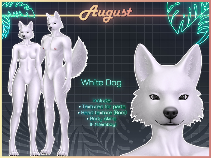 [• AUGUST •] - White dog (bom MOD)