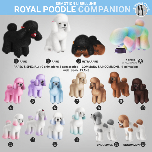 SEmotion Libellune Royal Poodle Companion COMMON 06
