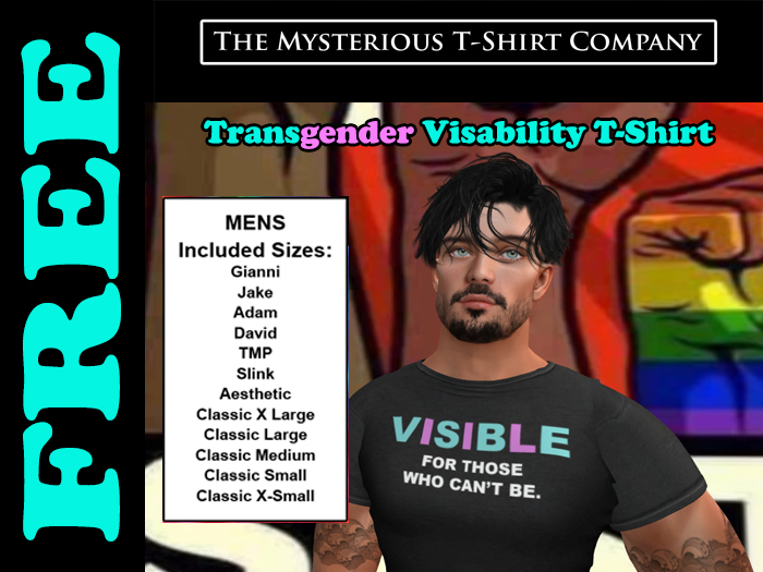 Men's Trans Visibility T-Shirts 2022