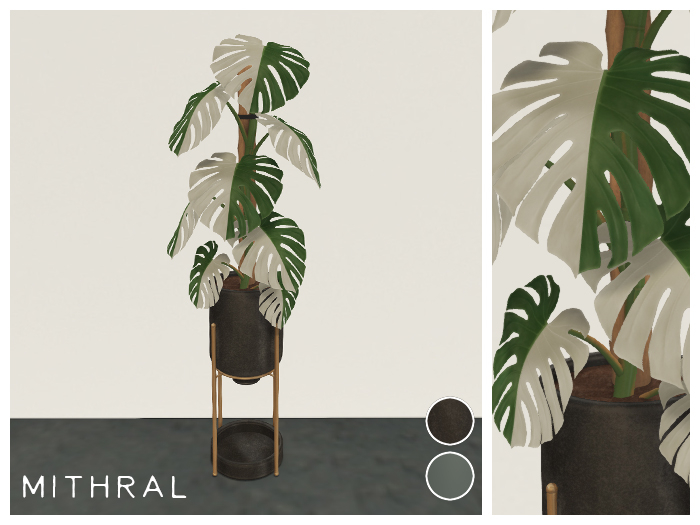 Second Life Marketplace - Mithral * Tall Half Moon Albo Monstera (Pack C)