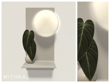 Mithral * Minimal Melanochrysum Bulb Shelf Fat Pack