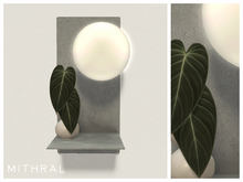 Mithral * Minimal Melanochrysum Bulb Shelf (Silver)