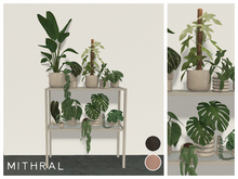 Mithral * Low Glass Plant Shelf Unit Fat Pack