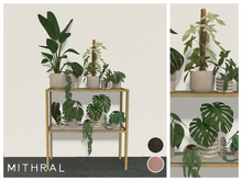 Mithral * Low Glass Plant Shelf Unit (Gold)