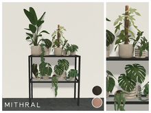 Mithral * Low Glass Plant Shelf Unit (Black)