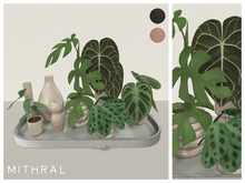Mithral * Plant Display Tray (Silver)
