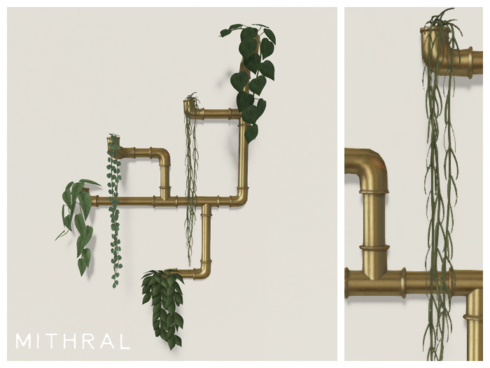Mithral * Pipe Vine Display (Gold)
