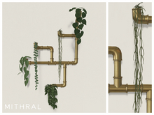 Mithral * Pipe Vine Display (Gold)
