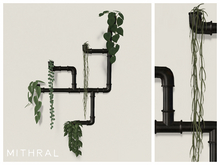 Mithral * Pipe Vine Display (Black)