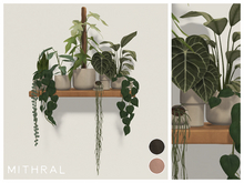 Mithral * Full Plant Shelf V2 Fat Pack