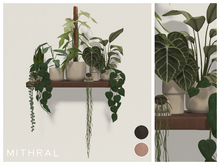Mithral * Full Plant Shelf V2 (Dark)