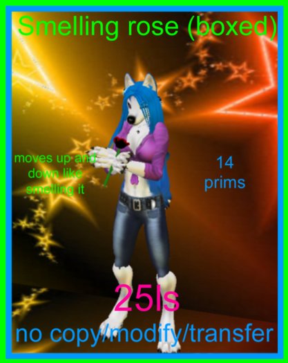 Smelling rose(boxed)