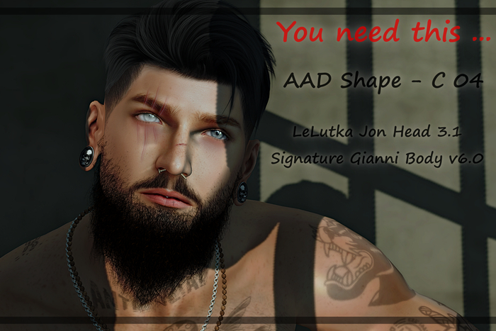 YNT AAD Shape - DEMO D 04 (Jon,Gianni)