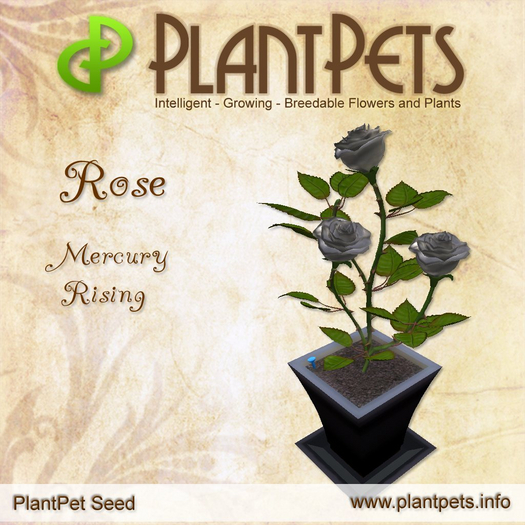 [UPDATED] PlantPet Seed [Rose *Mercury Rising*]