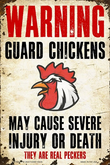 Silly sign-Guard Chickens