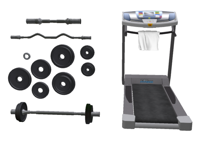 Workout Room Equipment - Treadmill and Weight Set