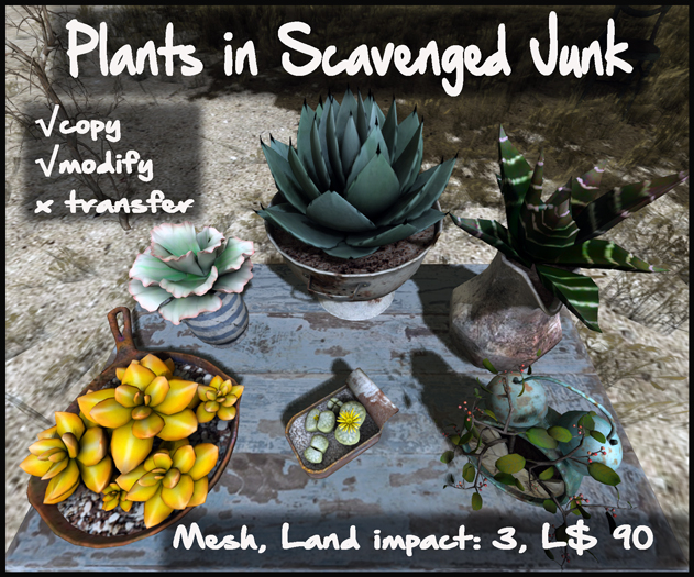 Plants in Scavenged Junk