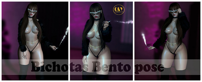 Q&Y BICHOTA BENTO POSE