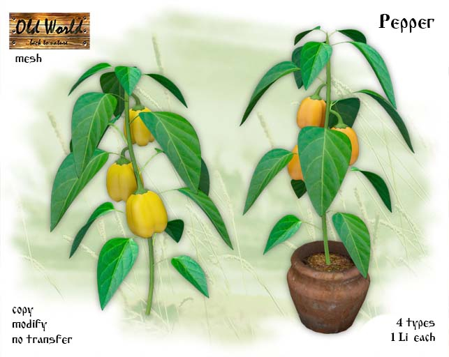 Yellow Bell Pepper - Old World - Rustic Garden