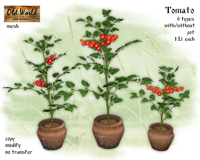 Tomato - Old World - Rustic Garden