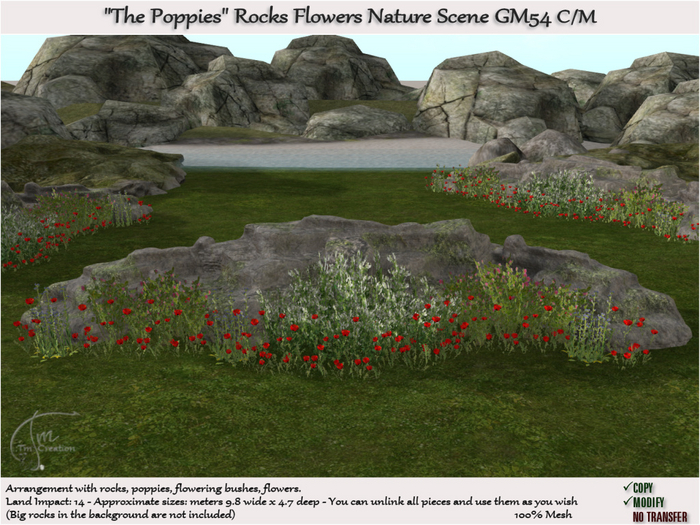 Poppies Flowers Garden Rocks GM54