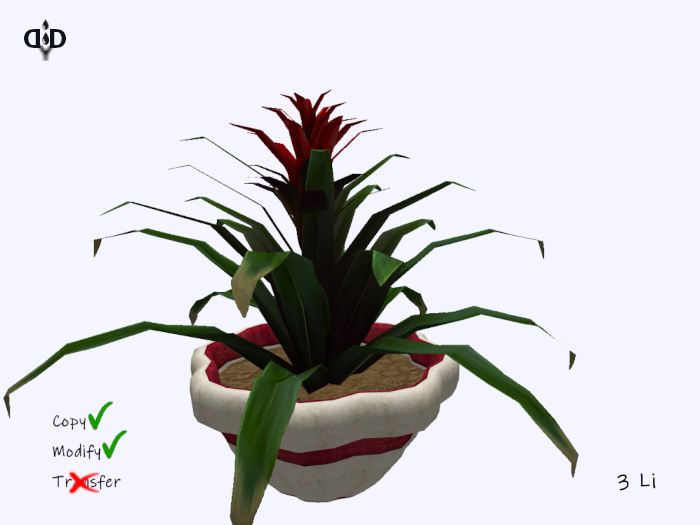 Garden:. Bromeliad Pot
