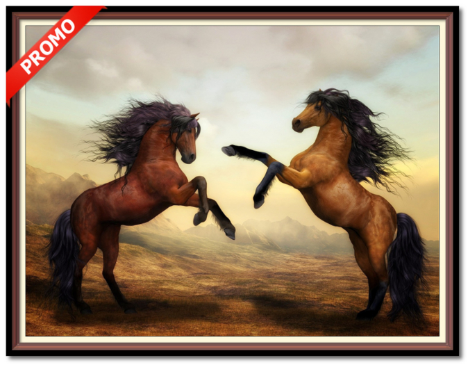 Horse Fight