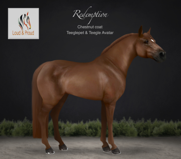 Loud & Proud - Teegle - Redemption Coat