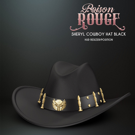 POISON ROUGE Sheryl Cowboy Hat - Black